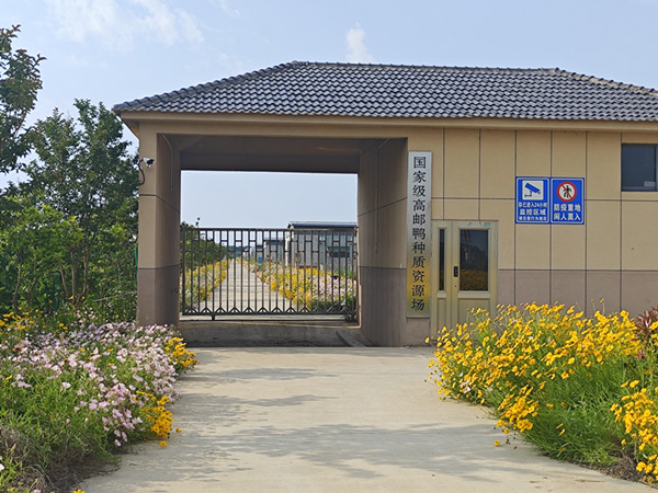 高郵麻鴨榮獲國(guó)家地理標(biāo)志證明商標(biāo) (2)_副本.jpg